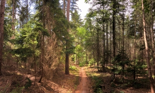 omgeving-mooie-wandelpaden